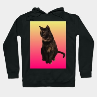 Pretty Little Tortie Hoodie